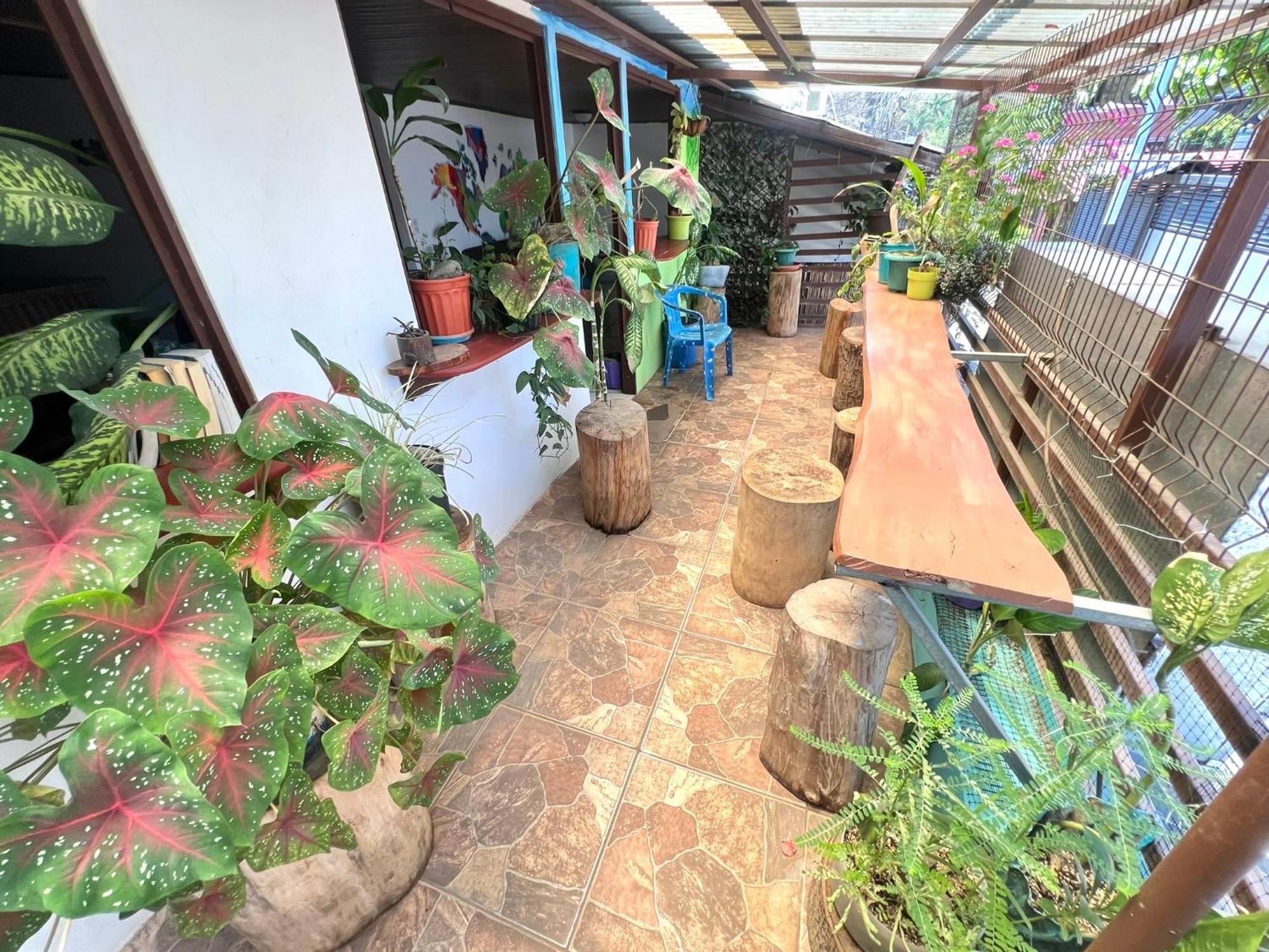 Passifloras Hostel Quepos Εξωτερικό φωτογραφία